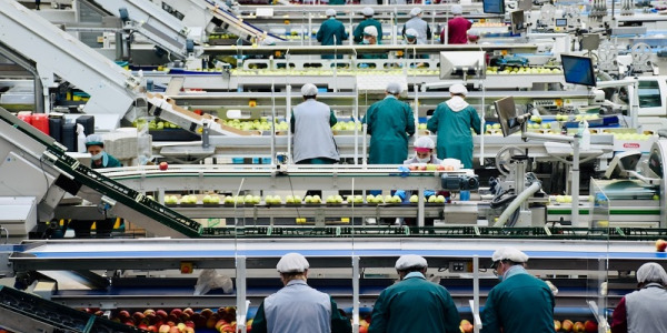 Wprowadzenie do podstaw automatyki przemysłowej: Czym jest i dlaczego jest istotna?